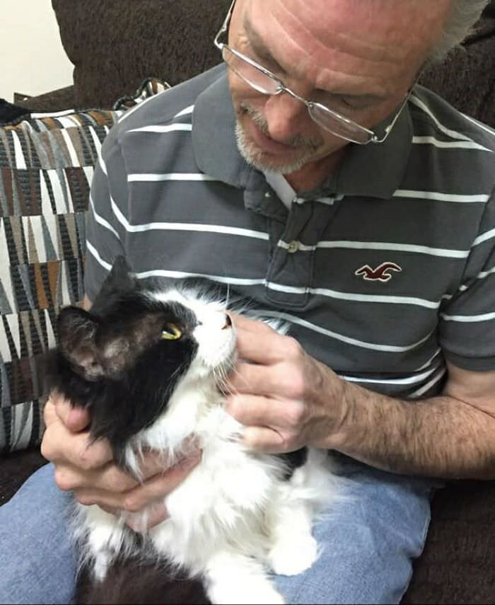 Affectionate cat named Samuel was rescued from a small carrier where he had been trapped for most of his life