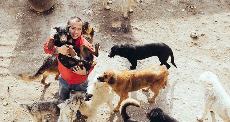 Kindhearted Chinese millionaire spends all of his money buying a slaughterhouse and opening a big shelter for dogs in its place